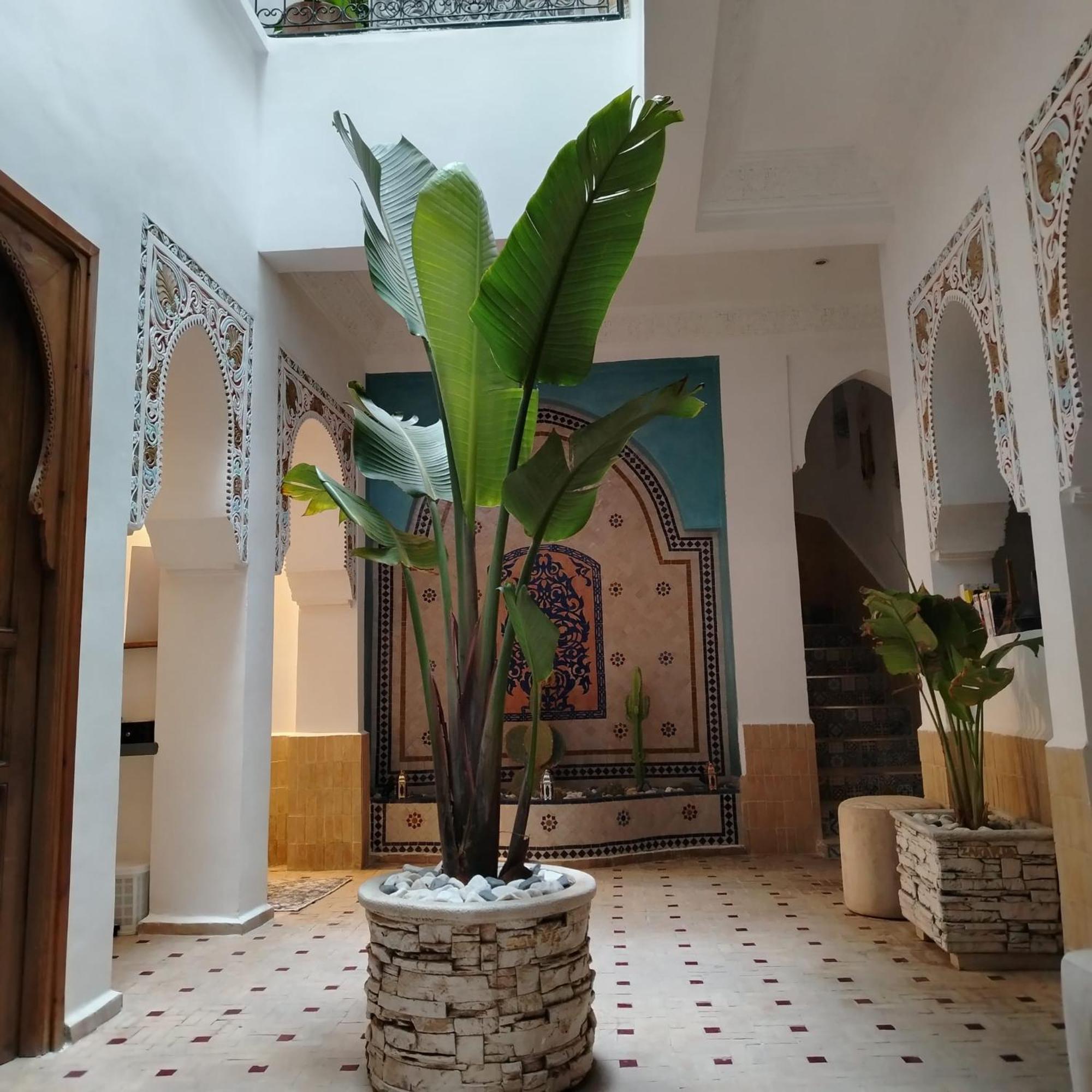 Riad & Spa Sous Le Soleil Chez Jerome Et Pamela Ch Marrakchi Marrakesh Luaran gambar